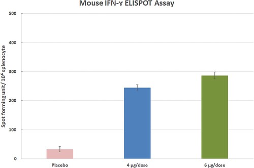 Figure 11. The ELISPOT assay was performed on 35th days after the first immunization in three Balb/c mice (each of 3 animals).