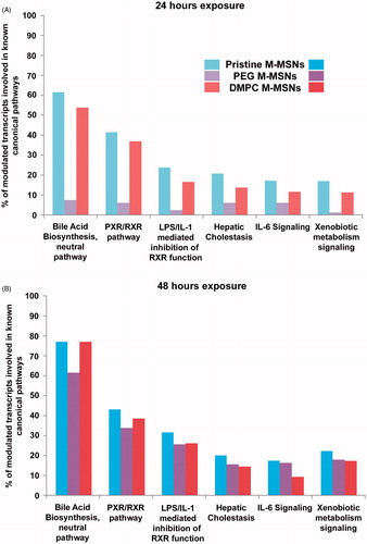 Figure 6. Canonical pathways elicited by each M-MSN (80 µg/cm²). The percentage of modulated transcripts of our datasets belonging to six major altered canonical pathways after (A) 24 h and (B) 48 h exposure to 80 µg/cm² M-MSNs. These pathways were all significant according to a Fisher’s statistical test (p value <0.05), revealed with Ingenuity Pathway Analysis (IPA, QIAGEN).