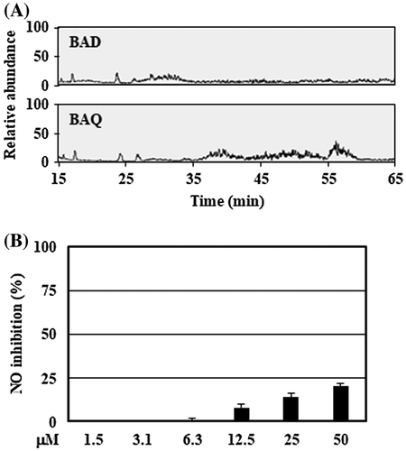 Figure 5. Tentative identification of anti-inflammatory substances showed stearic acid as the biomolecule candidate. (A) The organic layers prepared by the culture supernatant with low pH were analyzed using LC-MS system described in Materials and methods. (B) RAW264 cells were pretreated with stearic acid (final concentration 1.5–50 μM) for 20 min, and then stimulated by LPS for 24 h. After incubation, the suppressive effects of NO production of stearic acid were evaluated. Data are shown as means ± SD (n = 3). BAD, B. adolescentis with DMSO; BAQ, B. adolescentis with quercetin; NO, nitric oxide.