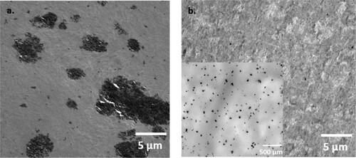 Figure 6. TEM images showing the distribution and dispersion of the fillers in the masterbatches of (a) solvent-mixed system; and (b) melt-mixed system. Scale bar: 5 µm for both images and 500 µm for the higher magnification image in 6b.