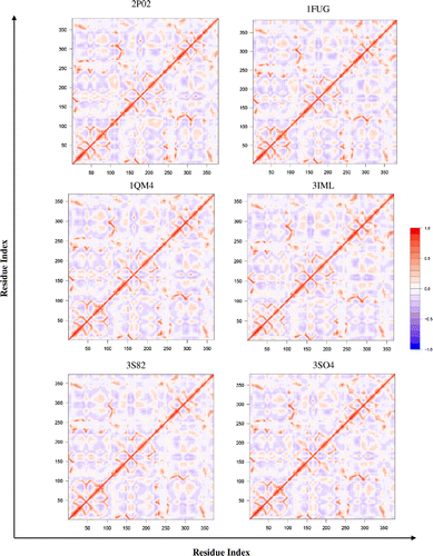 Figure 3. Dynamic cross-correlation matrices of six proteins in the methionine adenosyltransferase group with a color key depicting the correlated motions in red and anticorrelated motions in blue. The overall pattern remains consistent across all species within the group, apart from minute differences that are barely visible to the naked eye.
