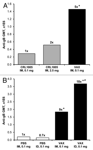 Figure 1. Evaluation of vaccine formulations in rabbits. (A) On Day 0 and 21, rabbits (n = 6 per group) received unilateral IM (500 µl/leg) injections of either 0.1 mg or 2.5 mg of VR-6365 formulated with CRL1005/BAK (CRL1005) administered with Biojector® 2000. A third group received unilateral IM injections of 0.1 mg of VR-6365 formulated with Vaxfectin® (VAX) administered with needle and syringe. Day 42 serum samples were assayed for gB-specific antibody responses using ELISA. The bars represent geometric mean titers (GMT). Fold increases in antibody responses compared with the group immunized with 0.1 mg of CRL1005/BAK formulations are indicated above each group. * Significantly different from groups vaccinated with CRL1005/BAK formulations (p ≤ 0.01). (B) On Day 0 and 21, rabbits (n = 6 per group) received either unilateral IM (500 µl/leg) or ID (100 µl/site) injections of 0.1 mg VR-6365 formulated either with PBS or Vaxfectin® (VAX) administered with Biojector® 2000. Day 42 serum samples were assayed for gB-specific antibody responses using ELISA. The bars represent geometric mean titers (GMT). Fold increases in antibody responses compared with the group injected with PBS formulations IM are indicated above each group. * Significantly different from groups vaccinated with PBS formulations (p < 0.01). # Significantly different from group vaccinated with Vaxfectin® formulation injected IM (p < 0.05).