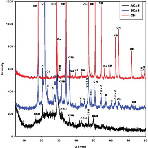 Figure 2. X-ray patterns of calcium hydroxide (CH), microcomposite (SCaS), and nanocomposite (ACaS). C, CH, CSH, and Ca denote reflection peaks of cristobalite, calcium hydroxide, calcium silicate hydrate, and calcite, respectively.