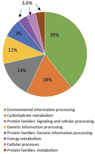 Figure 3.  KEGG pathway analysis of the A. defectiva secretome. all protein sequences from the secretome were analyzed by KEGG pathway tool.