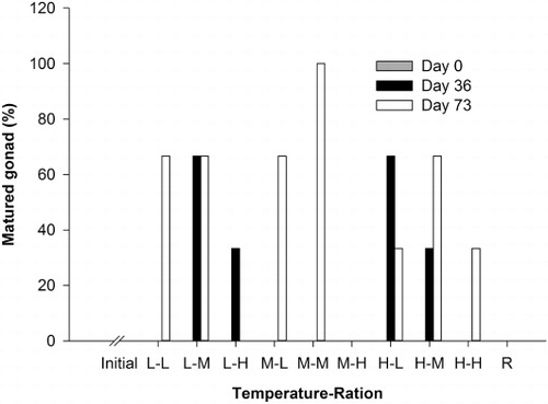 Figure 5 Percentage of matured 2-year-old P. zelandica after 36 and 73 days of conditioning in three water temperatures (L = low, 7–8 °C; M = medium, 11–12 °C; H = high, 16–17 °C) and three feeding rations (10,000, 50,000 and 100,000 cells mL−1). Additional geoducks were sampled at the start of the experiment (Initial group) and others were conditioned in pond water as a comparative reference group (R).