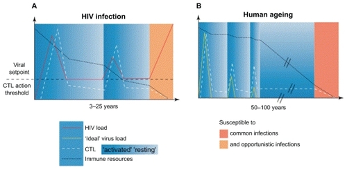 Figure 2 Schematic representation of immunosenescence with normal aging and that with HIV. Copyright © 2002 Elsevier. Reprinted with permission from Appay V, Rowland-Jones SL. Premature ageing of the immune system: the cause of AIDS? Trends Immunol. 2002;23:580–585.Citation31