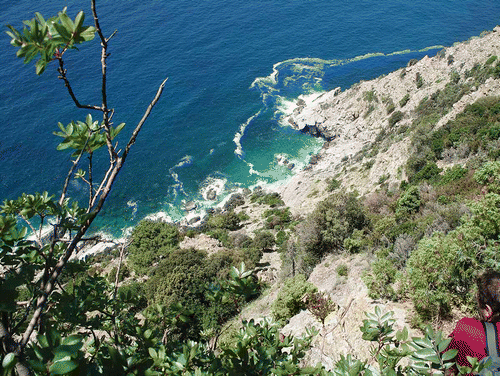 Figure 6. The place of the fatality at the Ligurian coast (photograph by Gerhard Meier).