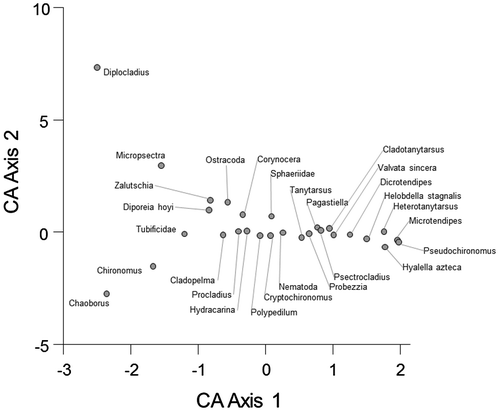 Figure 2. Plot of scores on CA Axis 1 and CA Axis 2 for taxa. The scores are from a correspondence analysis of logarithms of abundance of non-rare benthos (as defined in the text) from sediments in 50 lakes in Northern Saskatchewan varying in exposure to uranium mining/milling, between 2002 and 2009.