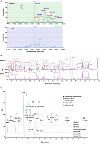 Figure 1. Primary structure: comparison of Humira® and LBAL. (A) Intact molecular mass profile by LC-MS, (B) UV chromatogram profiles of tryptic peptide map under reduced condition, (C) Fluorescence chromatogram profiles of 2-AA labeled N-glycan map by HILIC-UPLC/FLD. AU, absorbance unit; H, heavy chain; L, light chain; T, tryptic peptide; EU, fluorescence emission unit.