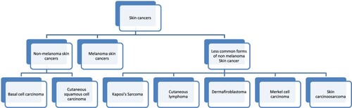 Figure 2. Classification of Skin cancer.