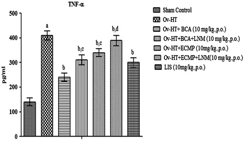 Figure 11. Effect of pharmacological intervention on TNF-α in ovariectomized hypertensive rats.