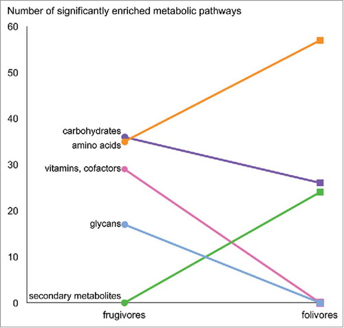 Figure 4. Frugivorous and folivorous metagenomes feature differential metabolic enrichment. Metabolic pathways with significant Linear discriminant analysis Effect Size (LEfSe) scores were identified as biomarkers for each diet.