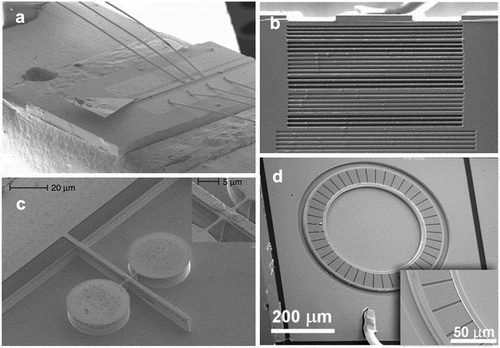 Figure 3. Device pictures of THz QCLs with different outcoupling mechanisms. a) Horn antenna (reproduced from [Citation27] with the permission of AIP Publishing), b) plasmonic collimator (reprinted by permission from Springer Nature: [Citation31] copyright 2010), c) antenna microcavity [Citation42], d) ring extractor (reproduced from [Citation38] with the permission of AIP Publishing)