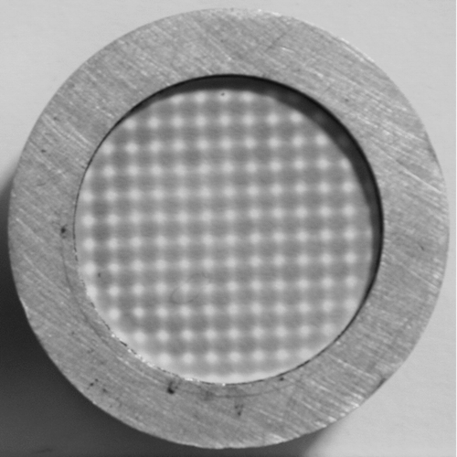 FIG. 1 Deposition pattern of Fe3O4 particles on polycarbonate filter collected by the MPAS.