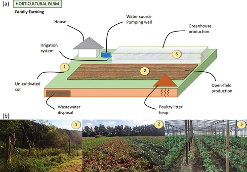 Figure 2. (a) Representative diagram of the horticultural farms. (b) Representative images of sites sampled within each farm: 1) un-cultivated soils, 2) soils from open-field production and 3) soils from greenhouse production.