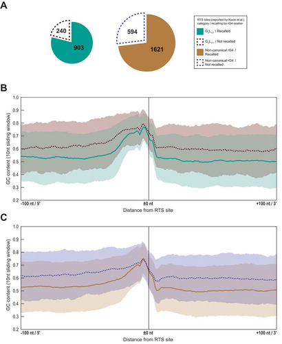 Figure 8. High local GC% may compromise RTS site detection with rG4-seq. (A) Recall statistics of RTS sites (K+) from canonical and non-canonical rG4 categories reported by Kwok et al. [Citation9]. Around 20–25% of RTS sites were not recalled by rG4-seeker in the re-analysis. (B,C) Average GC% (10 nt sliding windows) with shaded standard deviation in the ±100 nt region of the 3,358 RTS sites (K+) reported by Kwok et al. [Citation9], segregated based on their motif categories (canonical or non-canonical) and recall status by rG4-seeker. RTS sites that were not recalled had higher GC% in the 5ʹ and 3ʹ flanking regions when compared with recalled RTS sites.