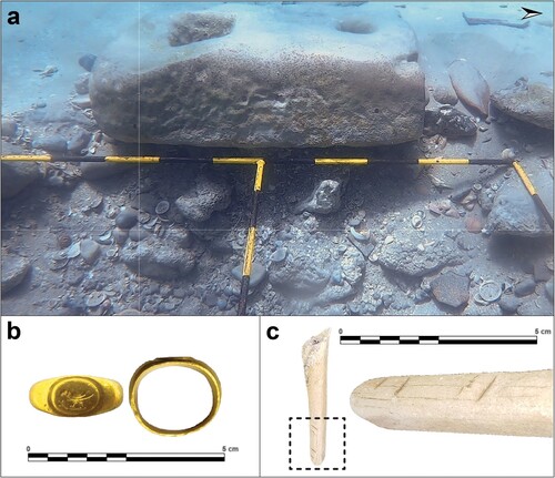 Figure 12. Finds from the excavations of Area W in North Bay (all from L.103): (a) Stone anchor; (b) Gold ring; (c) Bone with cut-marks (prepared by J. Gottlieb).