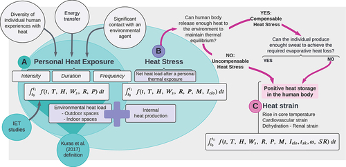 Figure 1. Environmental and inter-individual factors influencing a) personal heat exposure (PHE), b) heat stress, and c) heat strain. See Table 1 for definitions. To determine heat strain in individuals over time (t, dt) we must know the spatio-temporal evolution of temperature (Tair), humidity (H), wind speed (Ws), radiation (r), atmospheric pressure (p) of the surrounding environment, their metabolic rate (M), clothing insolation (Iclo), skin temperature Tsk, skin wettedness (ω), and sweat rate (SR). Relevant definitions are listed in Table 1.