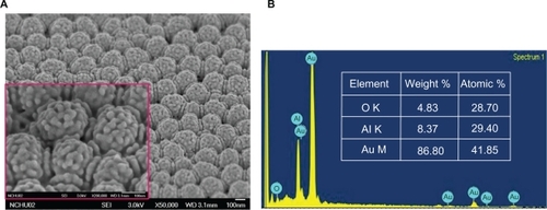 Figure 3 SEM images of gold nanoparticles synthesized by electrochemical deposition for the: (A) 3D electrode; (B) energy dispersive X-ray analysis.