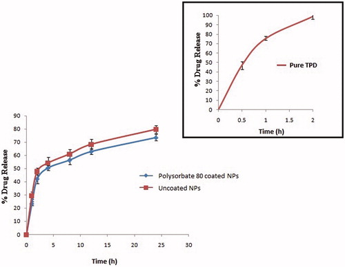 Figure 6. Comparative in vitro drug release patterns of plain TPD (inset) with polysorbate 80 coated TPD–CS-NPs (n = 3, mean±SD) optimized batch CNP6 and uncoated formulation CNP6.