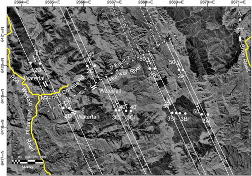 Figure 10. Surface expression of magnetically enriched horizons modelled near Port Waikato. The edges of modelled magnetised prisms are shown as white dots, in the planes of the flight lines, superimposed on the aerial photograph. Thin white lines indicate likely edges of the magnetic horizons. Strike (assumed to be 155°) and dip adopted for models are shown in white. Graticule: NZMG, interval between ticks 1000 m. Aerial Photograph: Land Information NZ; Crown Copyright reserved.