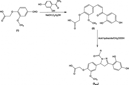 Scheme 1.  Synthesis of pyrazolines.