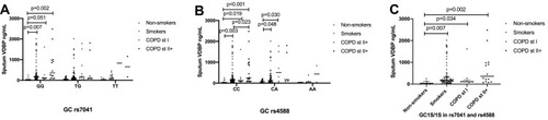 Figure 4 Sputum levels of VDBP according to the GC rs7041 and rs4588 at baseline for (A) GC rs7041, (B) GC rs74588 and (C) GC1S/1S in rs7041/rs74588.