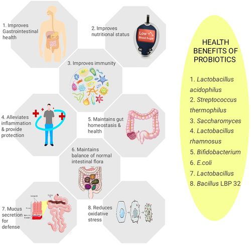 Figure 6. Benefits of probiotics on the overall health of an individual.