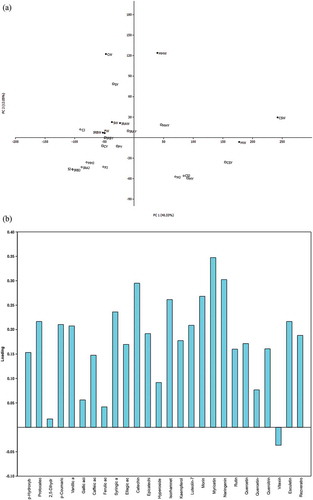 Figure 1. Score plot (a) and loading plot (b) of the Principal Component Analysis (PCA) of determined phenolics (anthocyanins not included) in grape juice, young wine and wine: distribution of samples in the two-dimensional system defined by the first two principal components(Legend: J(◊) - juice, Y(◽) - young wine, W(∙) - wine, CS - Cabernet Sauvignon, F - Frankovka, M - Merlot, MH - Muscat Hamburg, C – Chardonnay, IRA - Italian Riesling (winery Agner), S – Sila, IRB – Italian Riesling (winery Bajilo) variety).