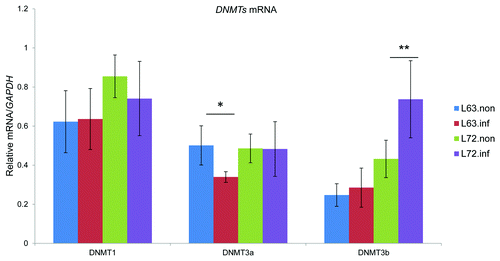 Figure 1. Quantification of chicken DNMT expression. Expression of DNMT1, DNMT3a and DNMT3b was measured by qRT-PCR in thymus samples from non-infected and infected line 63 and line 72 chickens, and normalized to GAPDH. The quantitative results are represented as mean ± SEM (n = 4). A single asterisk (p values < 0.05) and double asterisks (p values < 0.01) indicate the transcription level in the specific group was significantly different when compared with the adjoined group. L72.inf: infected line 72; L72.non.inf: non-infected line 72; L63.non.inf: non-infected line 63; L63.inf: infected line 63.