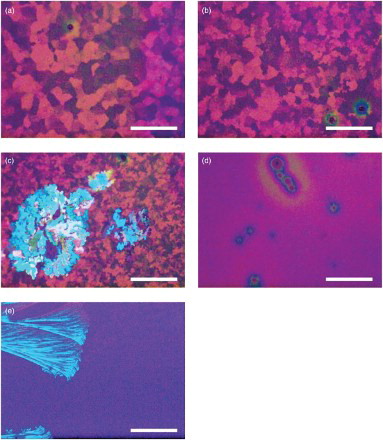 Figure 1. POM images for TESADT films annealed at T=(a) 100°C, (b) 105°C, (c) 110°C, (d) 115°C and (e) 120°C for 2 min. The white scale bar in panels (a–d) indicates 100 μm and (e) indicates 1 mm. The post-anneal crystalline domain size decreases for T>100°C with amorphous films obtained for T>115°C.