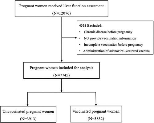 Figure 1. The flow chart of participants enrolment. A total of 7745 pregnant women were included in the final analysis. Among the 7745 participating pregnant women, 3832 (49.5%) received at least two doses of an inactivated vaccine.