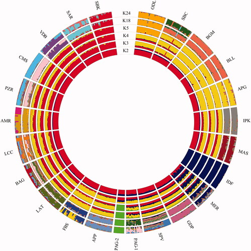 Figure 1. ADMIXTURE analysis showing the genetic structure of the analysed breeds. For full definition of breeds see Table 1.