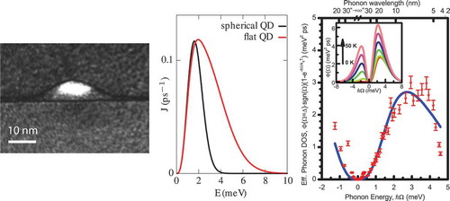 Figure 1. Left: Transmission electron microscopy (TEM) picture of a cross section of a single InGaAs QD. Figure by A. Ludwig and J-M. Chauveau [Citation94] © Nature Publishing Group. Center: Calculated phonon spectral density for a spherical QD with a size of 3.8 nm and a flat QD with a lateral size of 5 nm and a height of 1.5 nm. Right: Measured effective phonon spectral density (dots) fitted by a theoretical calculation. The measurements were taken at T=10 K. The inset shows the calculated effective phonon spectral density for different temperatures. The right part is taken from [Citation100] © American Physical Society.