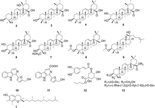 Figure 1. Chemical structures of compounds 1–13. γ-tocopherol (1), 3β,19α-dihydroxy-urs-12-en-28-oic acid (2), ursolic acid (3), oleanic acid (4), 2α-hydroxy ursolic acid (5), maslinic acid (6), hederagenin (7), erythrodiol-3-acetate (8), 3-O-acetyldammarenediol-II (9), perlolyrine (10), chlorogenic acid butyl ester (11), flazine (12), loniceroside C (13).