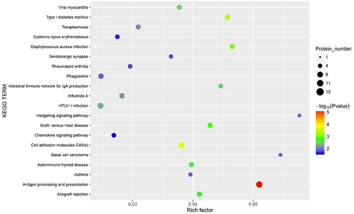 Figure 7. The Kyoto Encyclopaedia of Genes and Genomes (KEGG) pathways bubble chart of all methylated-differentially expressed genes. Data are presented as enriched scores expressed as -log10(p-value).
