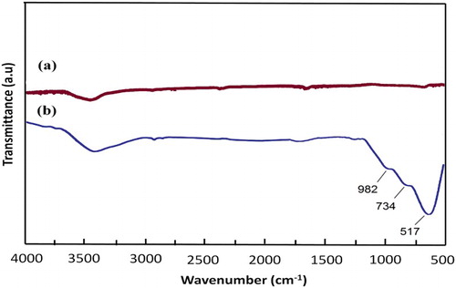 Figure 3. FT-IR spectra of the MWCNTs (a) and ZnCl2@MWCNTs (b).