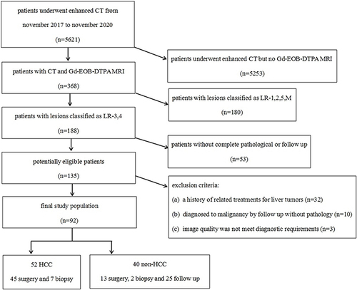 Figure 1 Flowchart of the inclusion and exclusion criteria.