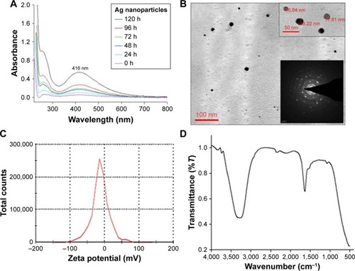 Figure 3 Characterization of AgPgNps by (A) UV–visible spectroscopy, (B) TEM and SAED (inset), (C) zeta potential analysis, and (D) FT-IR spectroscopy.Abbreviations: AgPgNps, pentagonal silver nanoparticles; UV, ultraviolet; TEM, transmission electron microscopy; FTIR, Fourier Transform infrared spectroscopy; SAED, selected area electron diffraction.