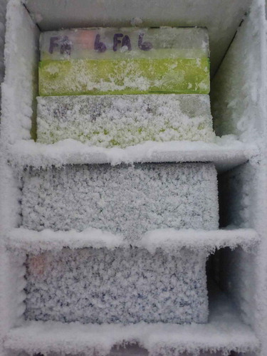 Figure 2. Inside one of the −80°C freezers storing samples of biological material from endangered non-human animals at the Frozen Ark in Nottingham (Photograph by Esther Breithoff).