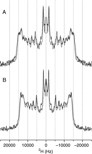 Figure 3.  2H echo spectra of POPE-d31 or POPG-d31 in lipid vesicles containing POPE/POPE-d31/POPG (2:1:1) (A) or POPE/POPG-d31 (3:1) (B) and 2.5 mole% pleurocidin at pH 7.5 (grey line) and pH 5 (black line). The change in pH has very little effect on the spectra. Spectra were recorded on a Bruker Avance 300 spectrometer at 298K.