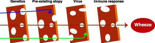 Figure 2. Development of post-viral wheezing involves multiple aligned risks. Post-viral wheezing likely requires the appropriate genetics, presence (or absence) of atopy, an appropriate virus (RV with atopy, RSV in the absence of atopy), and a subsequent specific immune response. Like a “Swiss cheese” model, having only one or two of these risks, will likely not end up leading to post-viral wheeze (blue and green arrows). Only when all of the “holes” are aligned will the subject go on to develop post-viral wheezing and asthma.