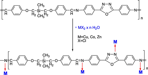Scheme 3. A general reaction pathway leading to metal complexes of the polyazomethine PAZ; possible coordination sites are indicated.