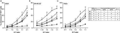 Figure 6. BsAb CD47xEGFR-IgG2s-mediated internalization of CD47 enhances susceptibility of cancer cells to T cell-induced cytotoxicity