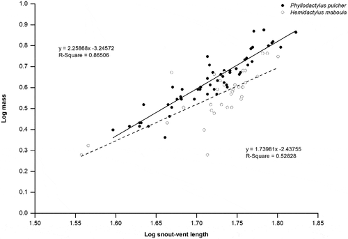 Figure 4. Relationship between snout-vent length and mass of adult P. pulcher and H. mabouia caught in natural habitat on the island of Barbados