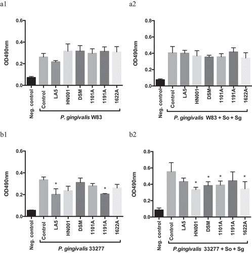 Figure 1. Effect of probiotics cell-free supernatants (CFS) diluted at 1:2.5 on P. gingivalis W83 (a1, mono-species; a2, multi-species) and ATCC 33277 (b1, mono-species; b2, multi-species) biofilm biomass, represented by the OD490nm of the standard biofilm dye. Groups: Neg. control- Negative control represents non-inoculated medium; Control- CFS-free positive controls of P. gingivalis mono- and multi-species biofilms (So – S. oralis and Sg – S. gordonii), and experimental group with CFS of: LA5 – L. acidophilus LA5, HN001 – L. rhamnosus HN001, DSM – L. reuteri DSM 17938, 1101A – B. breve 1101A, 1191A – B. pseudolongum 1191A and 1622A – B. bifidum 1622A. Experiments were conducted in triplicate. (*) Statistically significant difference when compared to respective positive controls using One-way ANOVA with post hoc Tukey’s multiple comparisons (p < 0.05).