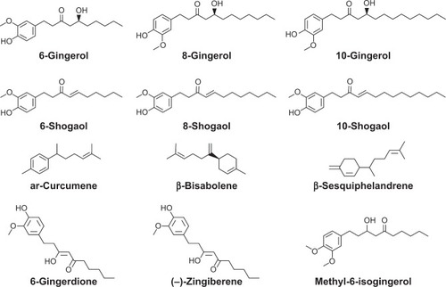 Figure 1 The chemical structures of 6-gingerol, 8-gingerol, 10-gingerol, 6-shogaol, 8-shogaol, 10-shogaol, ar-curcumene, β-bisabolene, β-sesquiphelandrene, 6-gingerdione, (−)-zingiberene, and methyl-6-isogingerol.