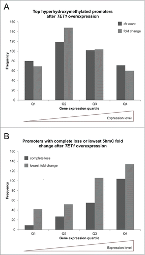 Figure 8. TET1 oxidates promoter 5mC depending on gene expression levels. The promoters showing the highest de novo or fold change increase of 5hmC (A) and those promoters characterized by a complete loss or lowest fold change of 5hmC upon TET1 overexpression (B) are grouped according to gene expression quartiles of uninduced control cells. Comparisons between expression and 5hmC methylation were only performed for genes with identical gene symbol annotations in both data sets (top de novo promoters: n = 372, top fold change promoters: n = 381, complete loss promoters: n = 195, lowest fold change promoters: n = 334). Q1 – Q4: gene expression quartiles ranging from lowest to highest expression levels.