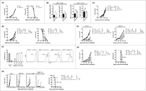 Figure 4. Antitumor effects of CSF-1/CSF-1R signaling blockade therapy as a single agent and in combinations with immune checkpoint blockade. (A) Average tumor growth and overall survival of 4T1 tumor-bearing mice treated with αCSF-1R. (B) Absolute number and frequency of CD8+ and CD4+ effector T cells in 4T1 tumors treated with αCSF-1R or IgG. (C) Tumor growth curves for 4T1 tumor-bearing mice treated with αCSF-1R and/or αPD-1. (D) Average tumor growth and tumor-free survival of 4T1 tumor-bearing mice treated with αCSF-1R and/or αCTLA-4. (E) Tumor growth curves for 4T1 tumor-bearing mice treated with αCSF-1R and/or αCTLA-4 + αPD-1 on day 7 or 10 post-tumor challenge. (F) T cell suppression by tumor-infiltrating MDSCs from CT26 tumor-bearing mice. Percent T cell proliferation in different MDSCs to T cell ratios as indicated and representative histograms. (G) Mean tumor growth and overall survival of CT26 tumor-bearing mice treated with αCSF-1R and/or αCTLA-4. (H) Individual tumor growth and overall survival of B16-IDO tumor-bearing mice treated with αCSF-1R and/or αCTLA-4 + αPD-1. Results are expressed as mean –/+ SEM.