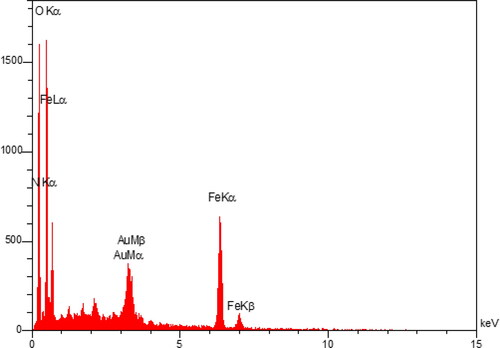 Figure 3. EDX pattern of Fe3O4/Starch-Au.